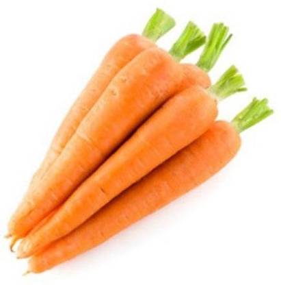 CEZIUS Carrot Orange In Colour Orange Carrot/Gaajar Gardening-A9I Seed