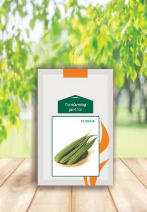 VibeX Fresh Healthy Hybrid Ridge Gourd Ns 474 High Yield[250 Gms, 1250 Seeds] Seed