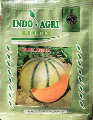 Musk melon Seeds very tasty highest yield Verity Seed