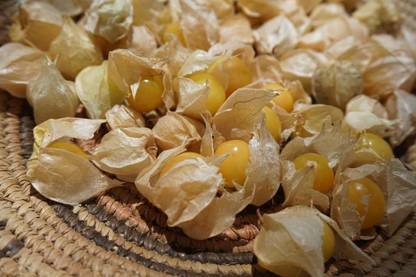 QALANDAR Pineapple Ground Cherry Seed