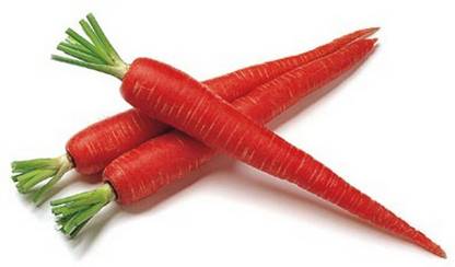 Hybride crt_059 Seed