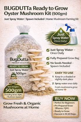 Dutta Oyster Mushroom Grow Kit, | Just Spray Water, | Easy Home Cultivation Seed
