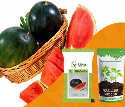 NATURAL AND HERBAL PRODUCTS Tarbuch Seeds for Planting | Black Watermelon | Sweet | | Balcony | Eating Seed