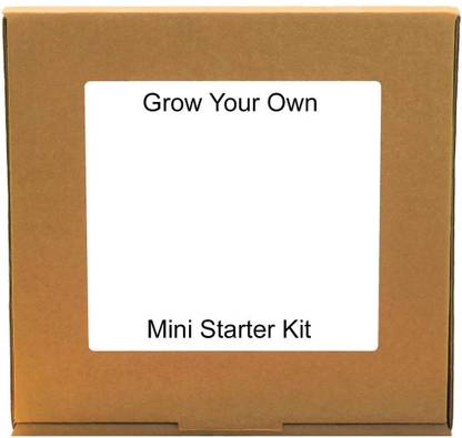 VibeX Basil - Sow & Grow DIY Gardening Kit Seed