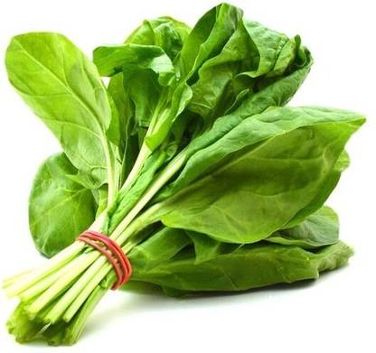 SEEDARIA F1 Hybrid spinach seeds, palak seeds, palong shak seeds Seed