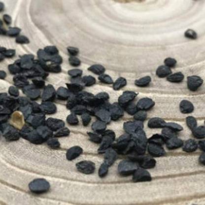 VibeX GUA-49 - Garlic Chives (Allium tuberosum) - (250 Seeds) Seed