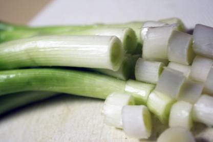 WILLVINE NEBUKA BUNCHING ONION Japanese Allium Fistulosum-[400 Seeds] Seed