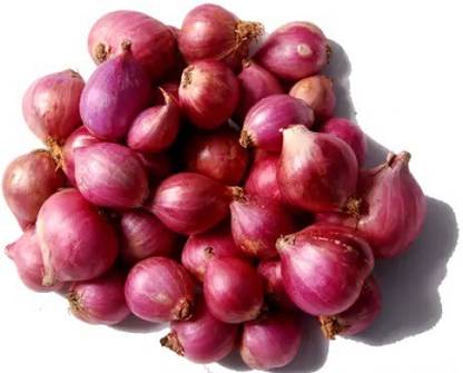 KRISHNA प्याज के बीज Onion Seed