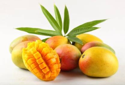 Kesar Mango seed highest yield Verity very testy fruit 1pc seed Seed