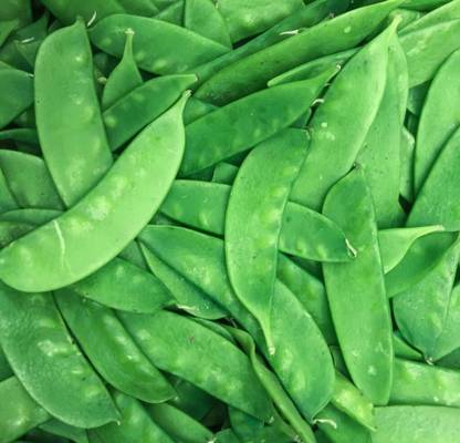 ASHOKE Seeds Runner Beans Seeds Seam Seeds Manikanchan Seam Seed