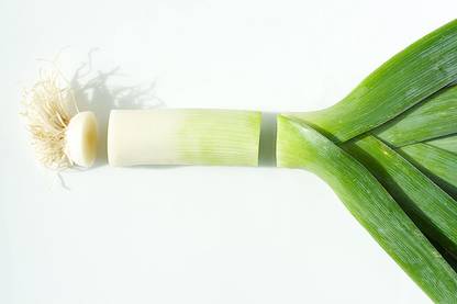 CYBEXIS Elephant Very mild Taste Leek Seeds Elephant 1000 Seeds Seed