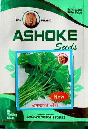 ASHOKE Seeds Katwa Danta Seeds Ekdala Daata Seeds Desi Ekdala Seed