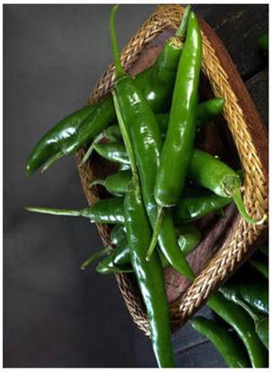 greenfarm NBX- Chilli Seeds / Mirchi Seeds , Best Quality , 220 X Seeds , EWS24 Seed