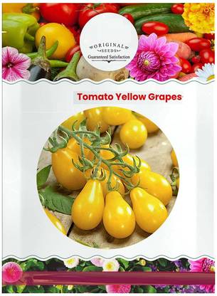 WILLVINE Yellow Grapes Tomato Seeds [5g, 1500 Seeds] Seed