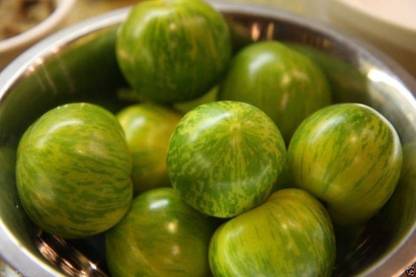 VibeX ® LXI-810 Thai Brinjal Seeds "Petch Siam" Seed