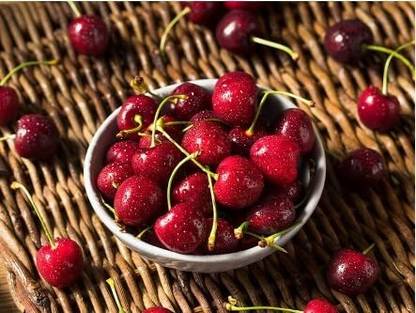 Aywal Maulsari Cherry Seeds For All Season Seed