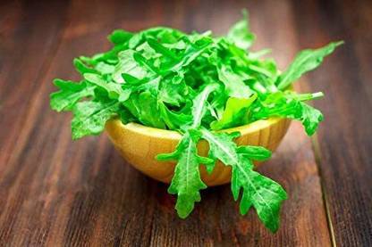 VibeX ® VMR-94 Arugula Wild Rocket Seeds Seed