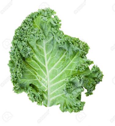 CYBEXIS Kale (Leaf Cabbage)2000 Seeds Seed