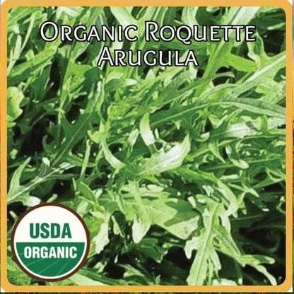 VibeX GUA-15 - Organic Arugula (Slow Bolt) - (2250 Seeds) Seed