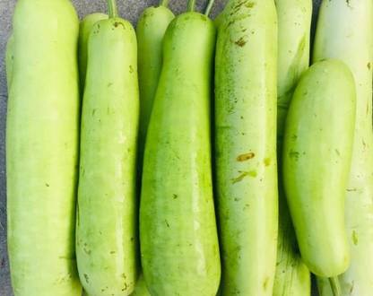 Aywal Organic Bottle Gourd Long Lauki Vegetable Seed