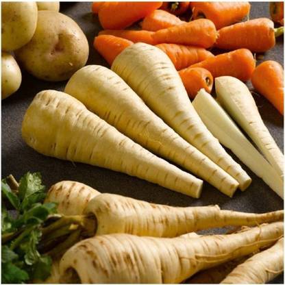 CYBEXIS Parsnip - Tender and True Seeds500 Seeds Seed
