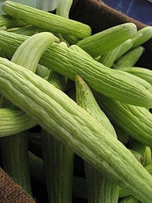 ENINE Vegetable Seeds Cucumber Kakdi Seeds Long Melon GG175 Seed