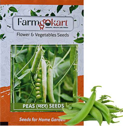 farmgokart |10 Gms PEA (MUTTER) SEEDS |for Home Gardening, Farming and Hydroponics | Seed