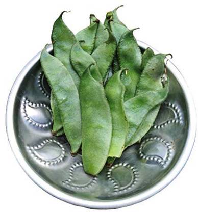 CHILLATAI Dolichos Bean / Sheem / Lab Lab Beans / Hyacinth / Avarai Seed