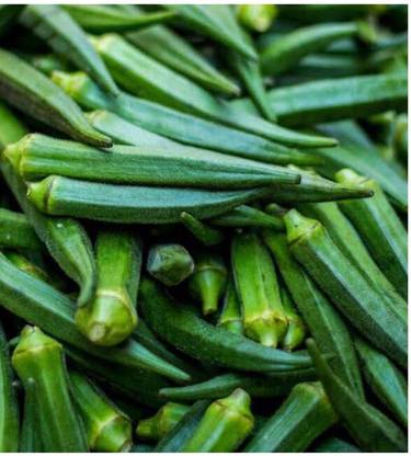 greenfarm NXC- Long Okra Seeds/ Bhindi seeds / Best Quality ,300 X Seeds ,AXR169 Seed