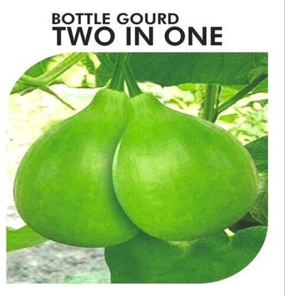 Cloud Farm Bottle Gourd Seeds, Lauki Two in One 96 Seed