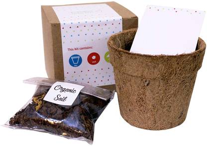 VibeX Neem - Sow & Grow DIY Gardening Kit Seed