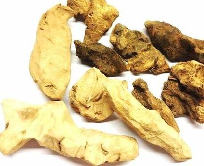 Urancia Chopchini China Root Smilax china 200gm Seed