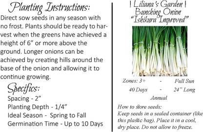 WILLVINE HAR -XVI Bunching Onion -"Ishikura Improved" [100g] Seed