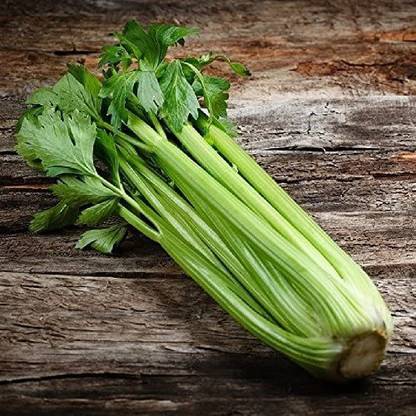 VibeX ATS-33 - Celery - Pascal - (250 Seeds) Seed