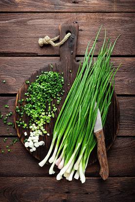 VibeX VVI-89 - Evergreen Scallion White Bunching Onion - (4500 Seeds) Seed