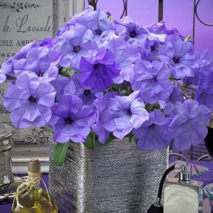 VibeX NDIR-85 - Evening Scentsation Petunia Deep Indigo - (180 Seeds) Seed