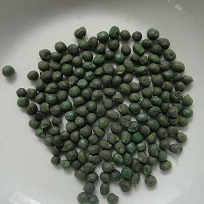 VibeX Lady's finger seeds Seed