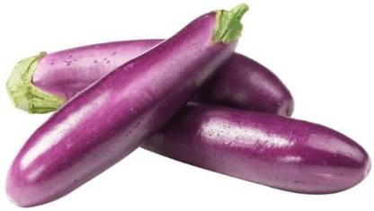 CEZIUS High Germination Brinjal/Eggplant Vegetable-a11C Seed