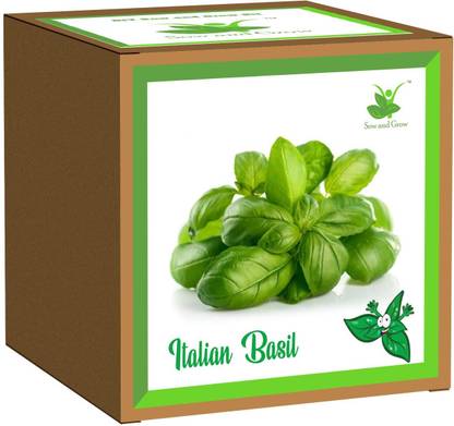 Sow and Grow Italian Basil Seed