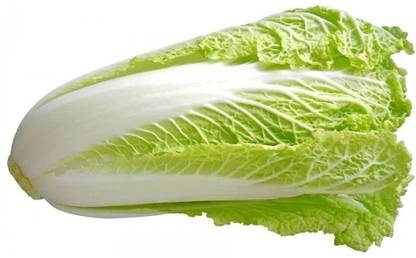 Aywal Chinese Long Cabbage Seed