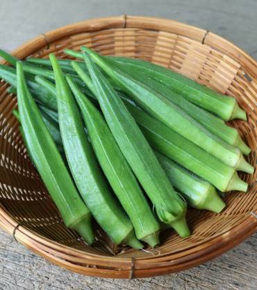 XOLDA Okra Vegetable Seed