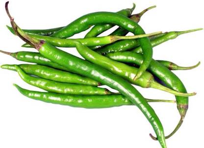 greenfarm NVX- Chilli Seeds / Mirchi Seeds , Best Quality , 450 X Seeds , SAS189 Seed