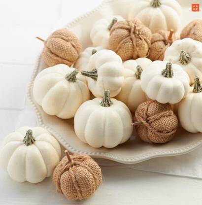 VibeX ® LXI-531 Mini White Pumpkins Seed