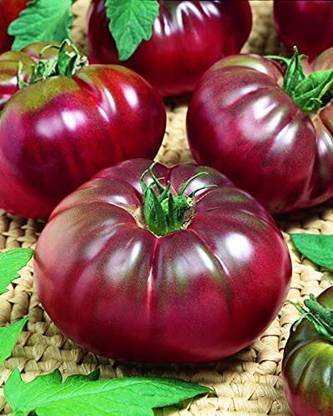 Lorvox Black Tomato Seed