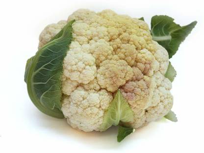 CYBEXIS PAU-11 - Desi Variety Cauliflower Phool Gobhi - (450 Seeds) Seed