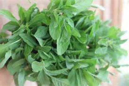 CHILLATAI Siru Keerai / Tropical Amaranth 100g Seed