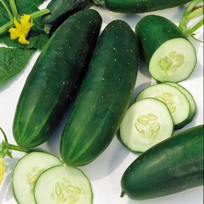 WHYGI Self-Pollinating Cucumber April F1 Heirloom Vegetable Seeds-CuC_1150 Seed