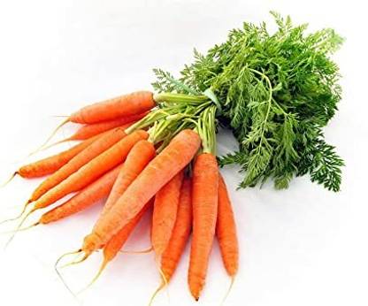 PMB Carrot Seed