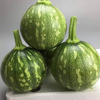CYBEXIS Rare Squash Species Pumpkin Seeds Green Patterned Skin -50 Seeds Seed