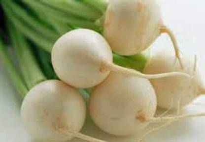 WILLVINE GBPUT-489 Ping Pong Radish, White Round Seed